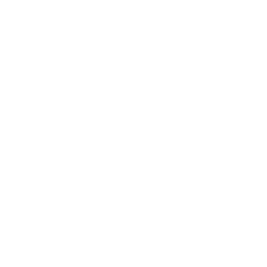 Bright Connections Logo in Footer
